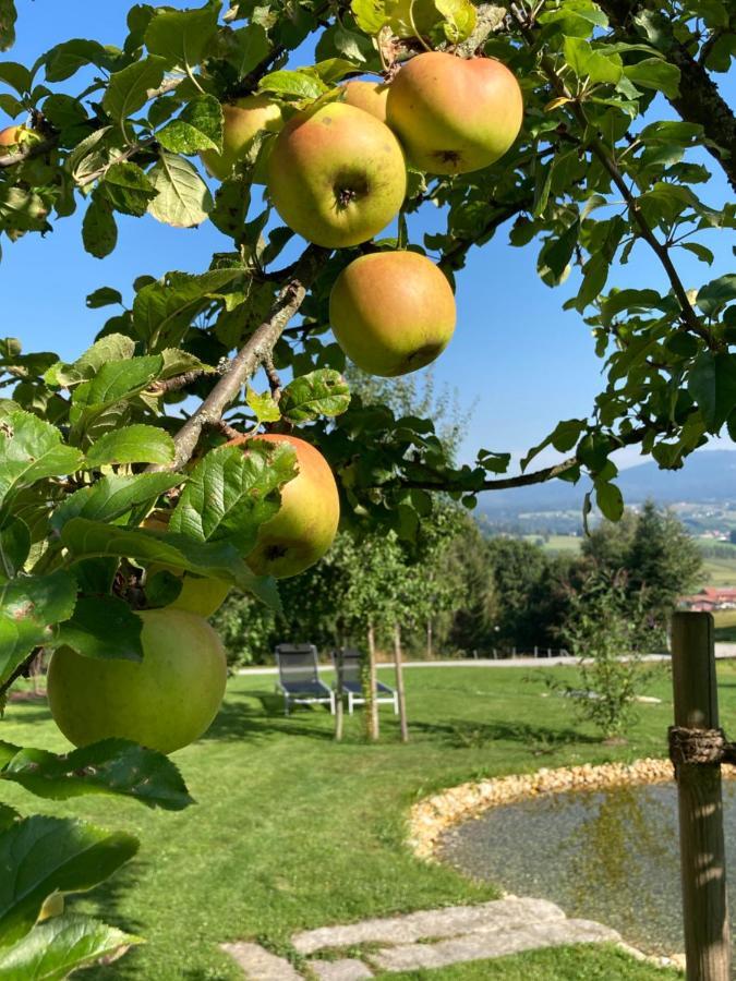 Lichteck - Helle Ferien Lejlighed Breitenberg  Eksteriør billede